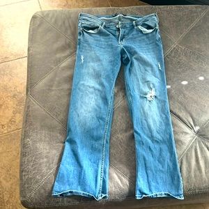 Distressed Hollister Jeans